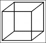     . 

:	necker.jpg 
:	78 
:	9.1  
ID:	11691