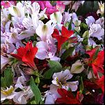     . 

:	11233541_758729314247468_3026524795643772372_n.jpg 
:	31 
:	76.5  
ID:	13009