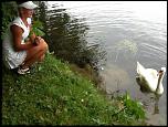     . 

:	0_6e114_811fbb24_L.jpg 
:	117 
:	77.4  
ID:	1414