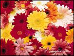     . 

:	prikolnie_pozdravleniya_s_8_marta.jpg 
:	19 
:	95.5  
ID:	14296