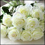     . 

:	розы.jpg 
:	14 
:	64.7  
ID:	15510