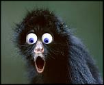     . 

:	Funny Eyes_3.jpg 
:	99 
:	18.7  
ID:	3360