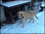     . 

:	0_79be7_69f0ecf_L.jpg 
:	130 
:	69.9  
ID:	3449