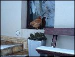     . 

:	attachment.jpg 
:	79 
:	59.7  
ID:	3460