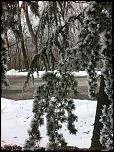     . 

:	image.jpg 
:	77 
:	99.4  
ID:	3578