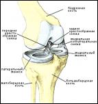     . 

:	meniscus.jpg 
:	180 
:	12.2  
ID:	4370