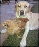     . 

:	sandi-06.jpg 
:	82 
:	20.4  
ID:	4415