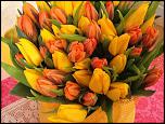     . 

:	image.jpg 
:	54 
:	94.9  
ID:	4930
