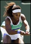     . 

:	Serena-42.jpg 
:	95 
:	21.1  
ID:	5380