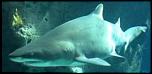     . 

:	sandi-41.jpg 
:	68 
:	8.6  
ID:	5477