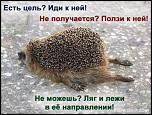     . 

:	ovg-01.jpg 
:	44 
:	38.4  
ID:	5684