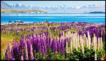     . 

:	sandi-45.jpg 
:	76 
:	30.8  
ID:	5708