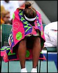     . 

:	stephens-20.jpg 
:	121 
:	23.5  
ID:	6940