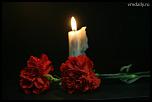     . 

:	file62dpxz85h5y174159p84.jpg 
:	33 
:	22.3  
ID:	9129